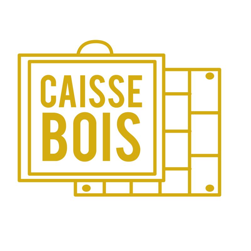 Château Chasse-Spleen moulis-en-Médoc Cru Bourgeois 2018 Magnum - Caisse Bois d'Origine de 6 Magnums