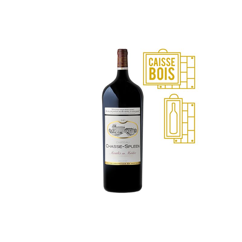 Château Chasse-Spleen Moulis-en-Médoc Rouge Melchior 18 litres - Caisse Bois d'origine