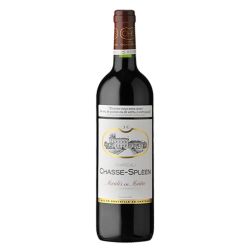 Château Chasse-Spleen Moulis-en-Médoc 2014 Magnum