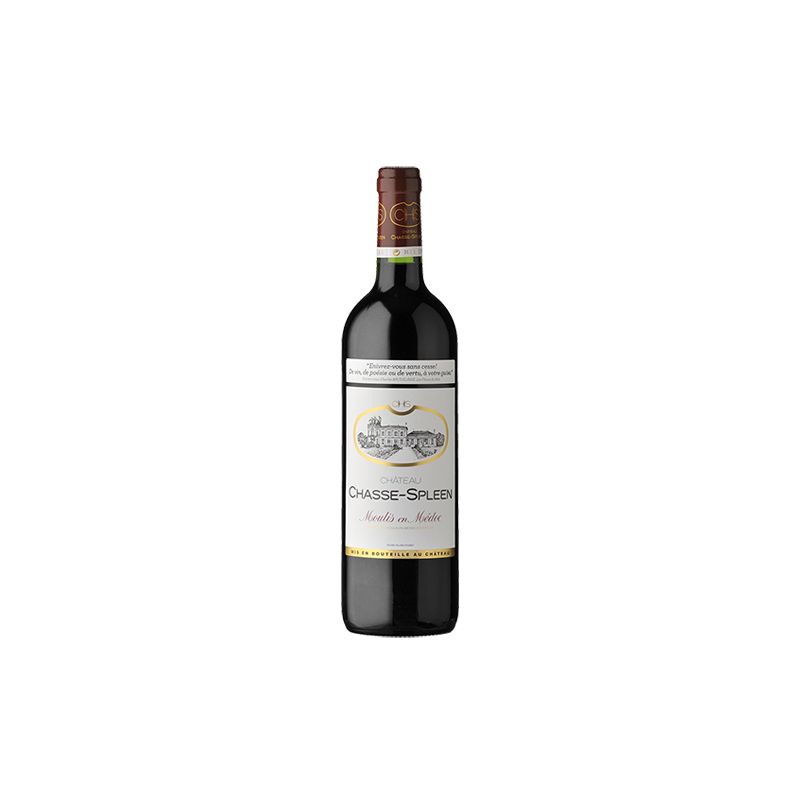 Château Chasse-Spleen Moulis-en-Médoc 2014 Magnum