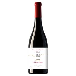 Pisano Rio de Los Pajaros Pinot Noir Progreso Uruguay Rouge 2021