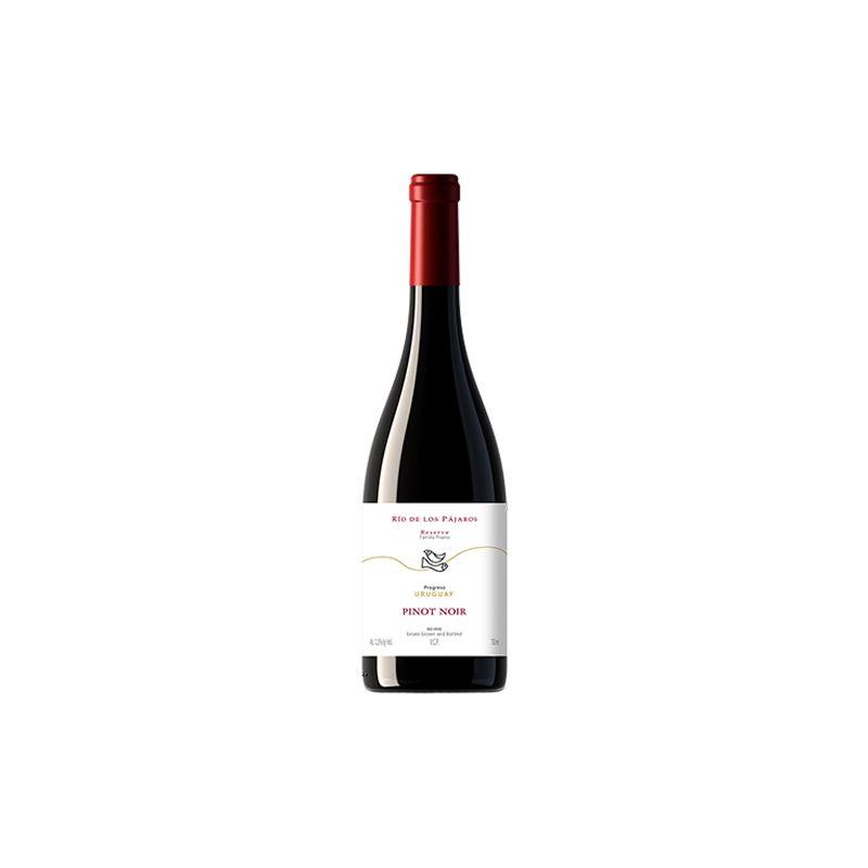 Pisano Rio de Los Pajaros Pinot Noir Progreso Uruguay Rouge 2021
