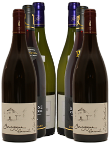 Carton découverte vin Bourgogne Grand Auxerrois 6 bouteilles