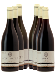 Carton découverte vin Bourgogne Givry 6 bouteilles