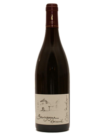 Domaine Alain Mathias Bourgogne Epineuil Côte de Grisey Rouge 2014