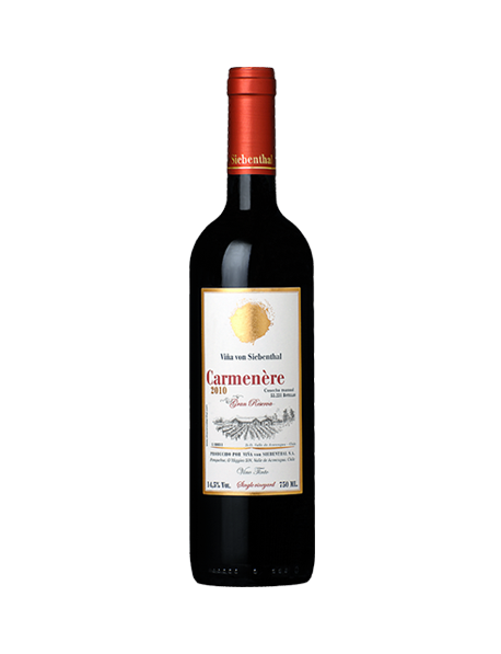 Vina von Siebenthal Gran Reserva Carmenère Aconcagua Chili Rouge 2013