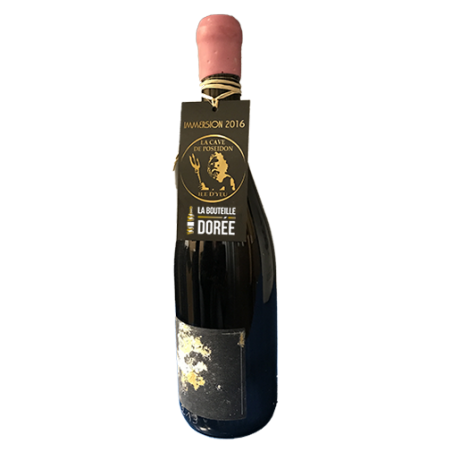 Domaine de l'R Chinon Les Cinq Eléments Rouge 2014 - 12 mois en cave sous la mer