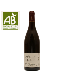 Vin rouge bio Bourgogne Epineuil Côte de Grisey 2015 en stock, livraison 24h