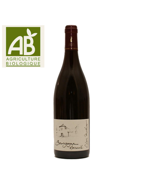 Domaine Alain Mathias Bourgogne Epineuil Côte de Grisey Rouge 2015