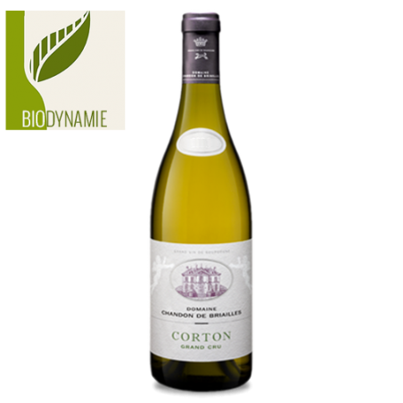 Chandon de Briailles Corton Grand Cru Blanc 2006