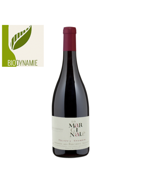 Coffret vin Loire Passion Saumur-Champigny Magnum