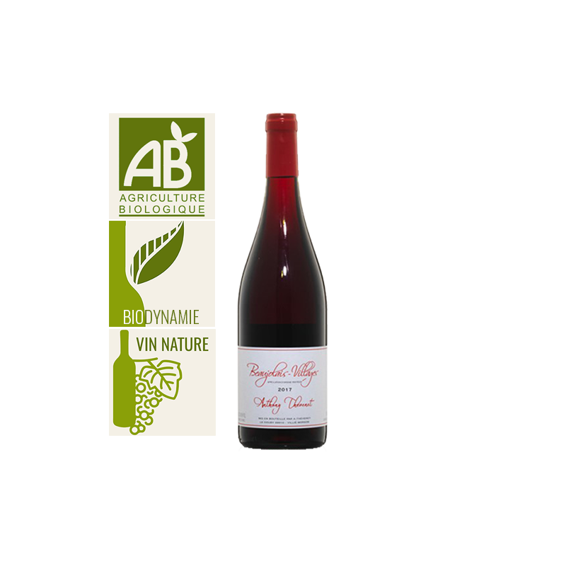 Domaine Anthony Thévenet Beaujolais-Villages Rouge 2017