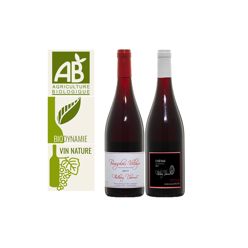 Coffret vin rouge Beaujolais 3 bouteilles