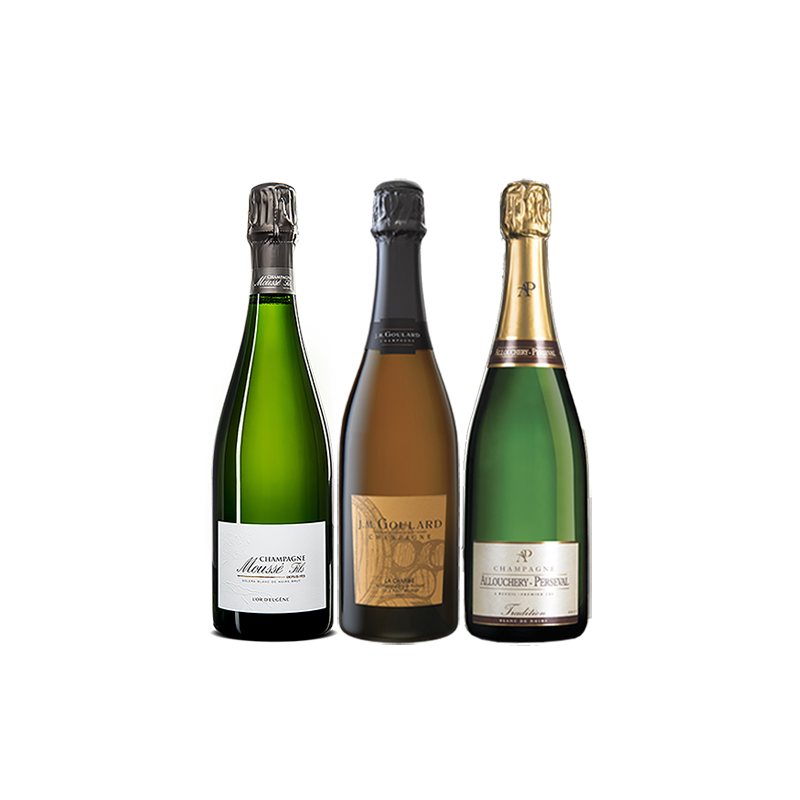 Coffret Champagne Blanc de noirs 3 bouteilles