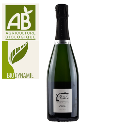 Champagne Vincent Couche Chloé Brut Nature