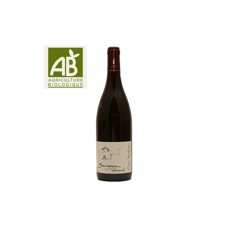 Domaine Alain Mathias Bourgogne Epineuil Tradition Rouge 2016 Domaine Alain Mathias Bourgogne Epineuil Tradition Rouge 2016