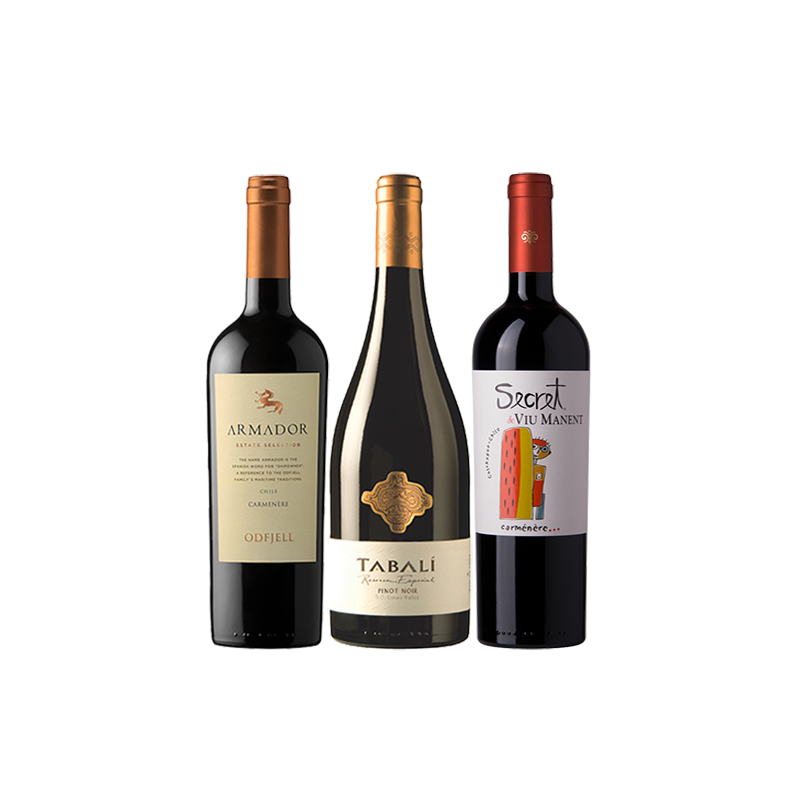 Coffret vin Chili 3 bouteilles Découverte des vins chiliens