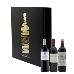 Coffret Vin rouge Bordeaux Saint-Emilion Sélection 3 bouteilles