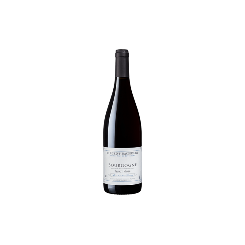 Domaine Vincent Bachelet Bourgogne Pinot Noir Rouge Domaine Vincent Bachelet Bourgogne Pinot Noir Rouge