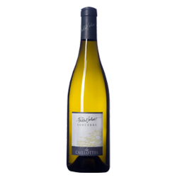 Pascal Jolivet Sancerre Les Caillottes Blanc 2013