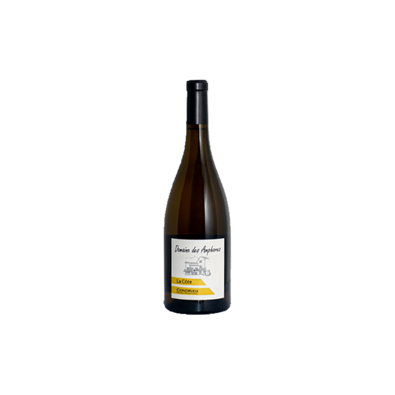 Domaine des Amphores Condrieu La Côte