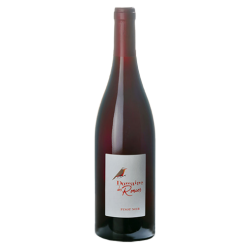 Domaine des Ronces Côtes-du-Jura Pinot Noir