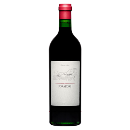 Foradori Teroldego Vigneti delle Dolomiti IGT Italie Rouge