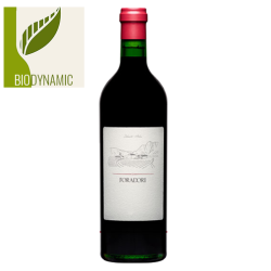 Foradori Teroldego Vigneti delle Dolomiti IGT Italie Rouge - Biodynamie