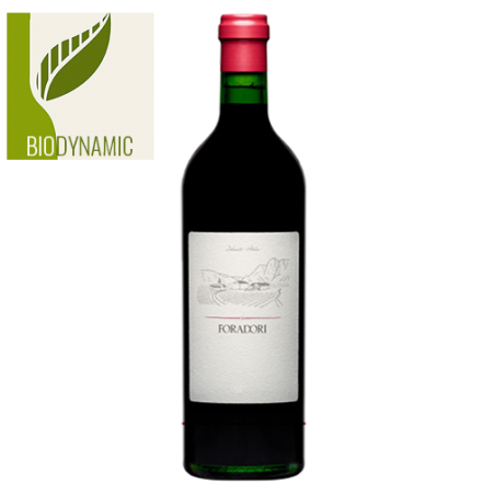 Foradori Teroldego Vigneti delle Dolomiti IGT Italie Rouge - Biodynamie