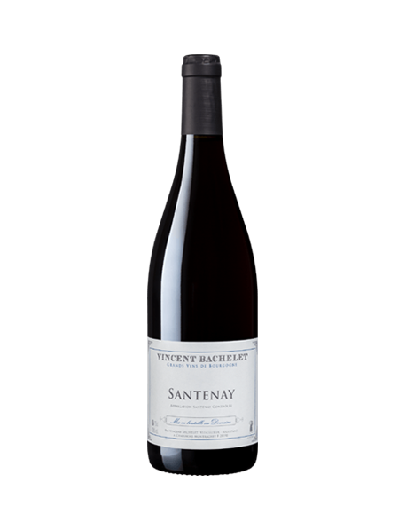 Domaine Vincent Bachelet Santenay Rouge