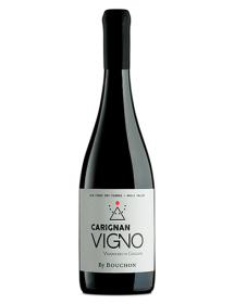 J. Bouchon Family WInes Vigno Carignan Valle de Maule Chili