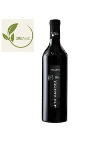 Vin rouge italien BIO des Pouilles cépage Primitivo - Domaine Polvanera