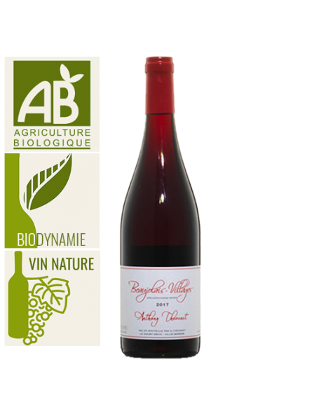 Domaine Anthony Thévenet Beaujolais-Villages Rouge - Vin Nature