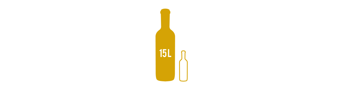 NEBUCHADNEZZAR