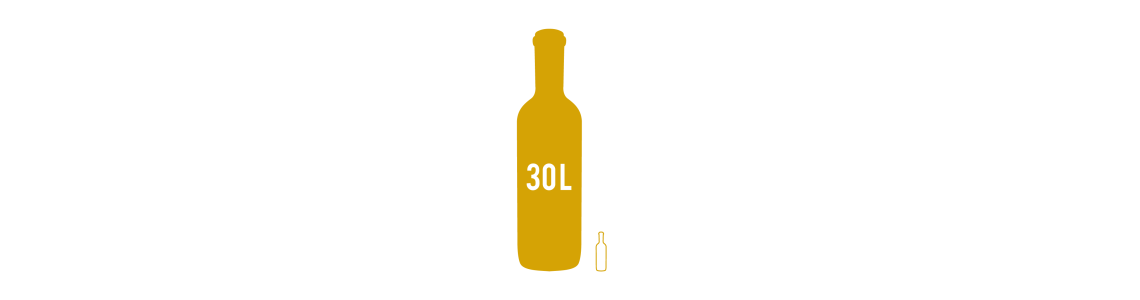 MELCHIZÉDEC