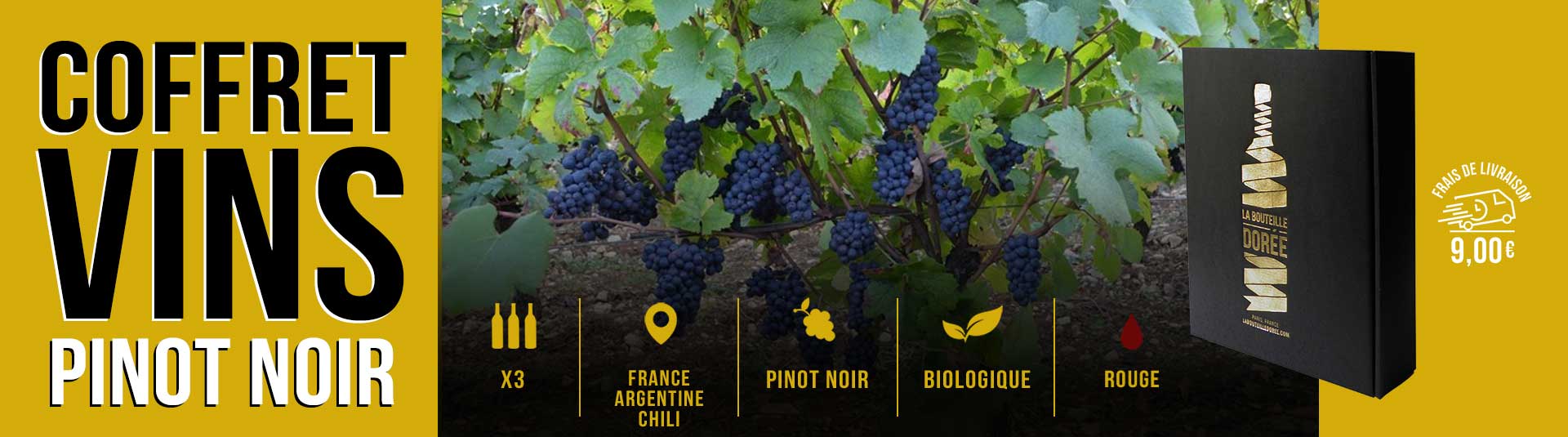 Coffret vin Etonnant Pinot Noir Sélection 3 bouteilles