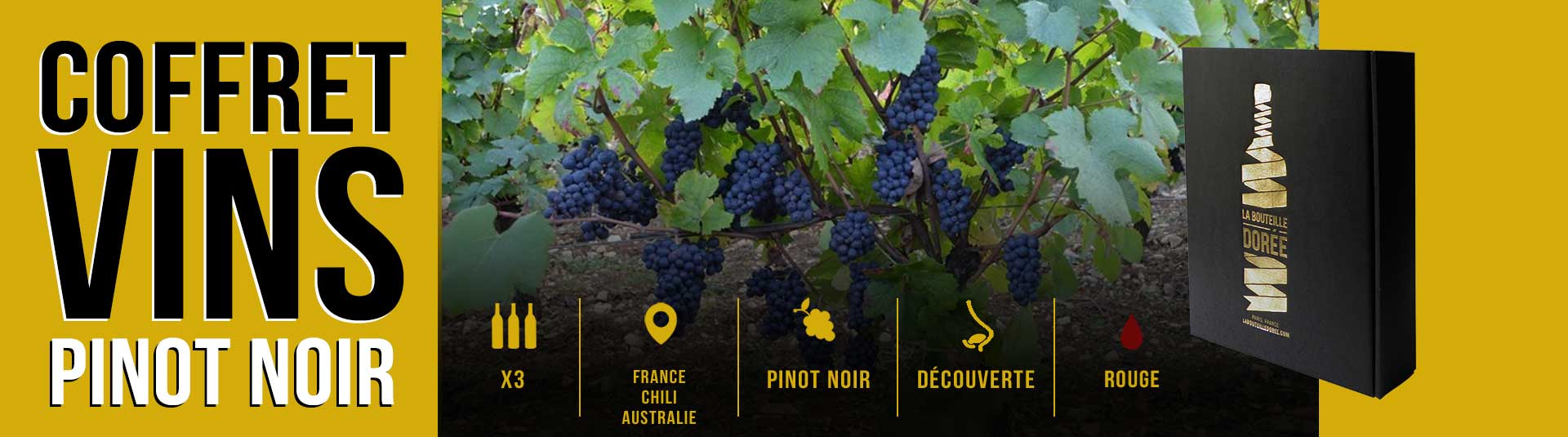 Coffret vin Etonnante Syrah Sélection 3 bouteilles Coffret vin Etonnant Pinot Noir Sélection 3 bouteilles