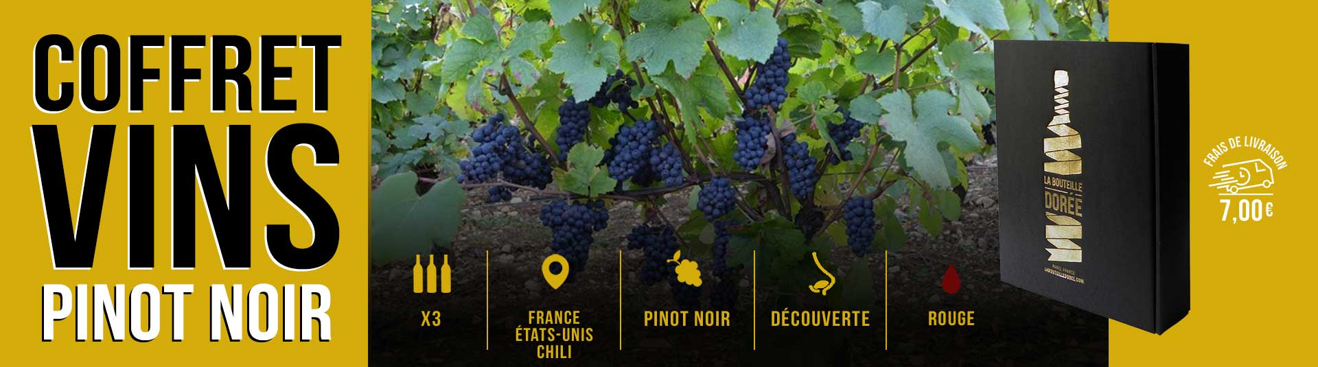 Coffret vin Etonnant Pinot Noir Sélection 3 bouteilles