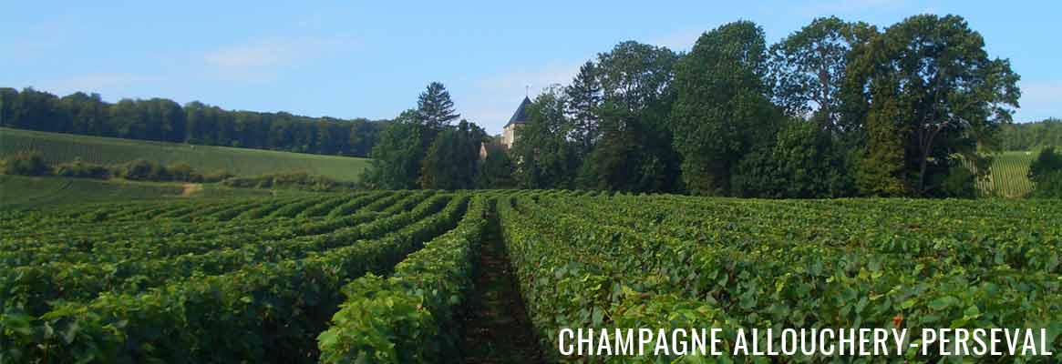 Champagne Allouchery-Perseval, Champagne de la Montagne de Reims