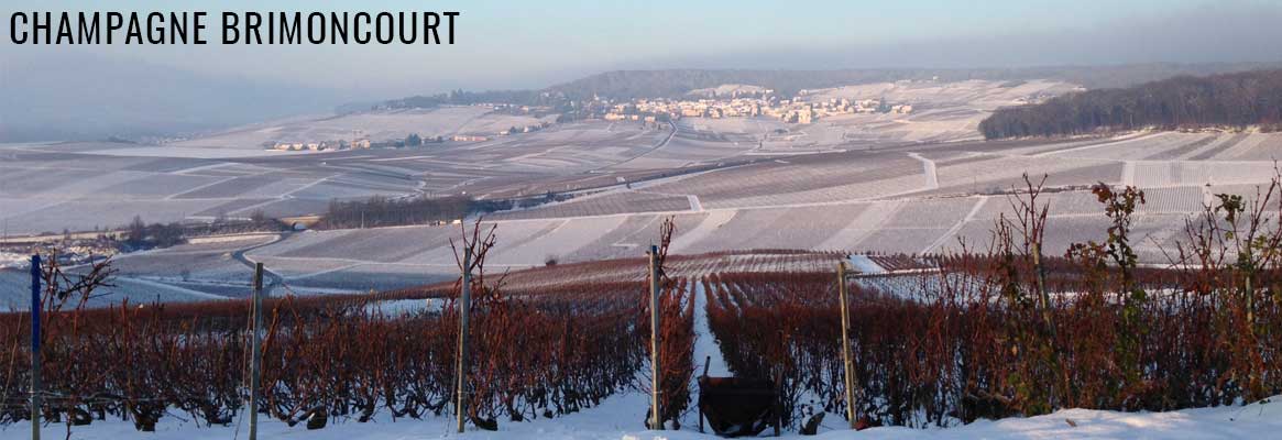 Champagne Brimoncourt en vente chez La Bouteille Dorée