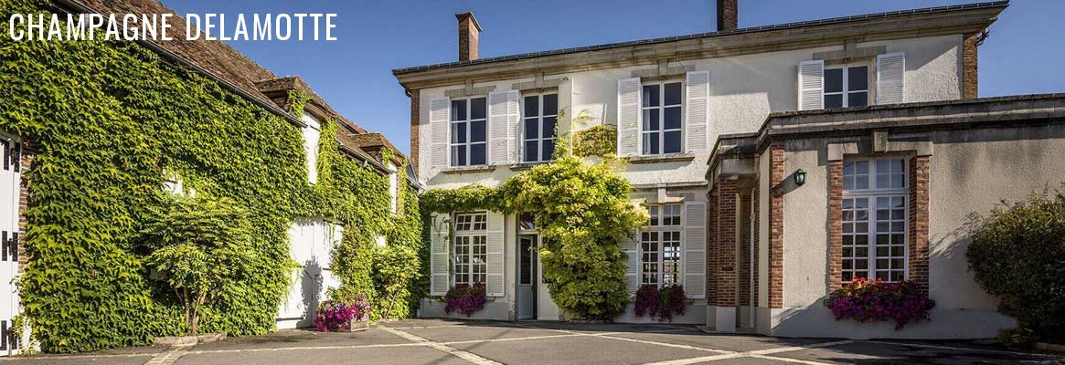 Champagne Delamotte à Mesnil-sur-Oger en vente chez La Bouteille Dorée