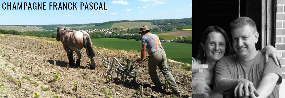 Champagne Franck Pascal en biodynamie en vente chez La Bouteille Dorée