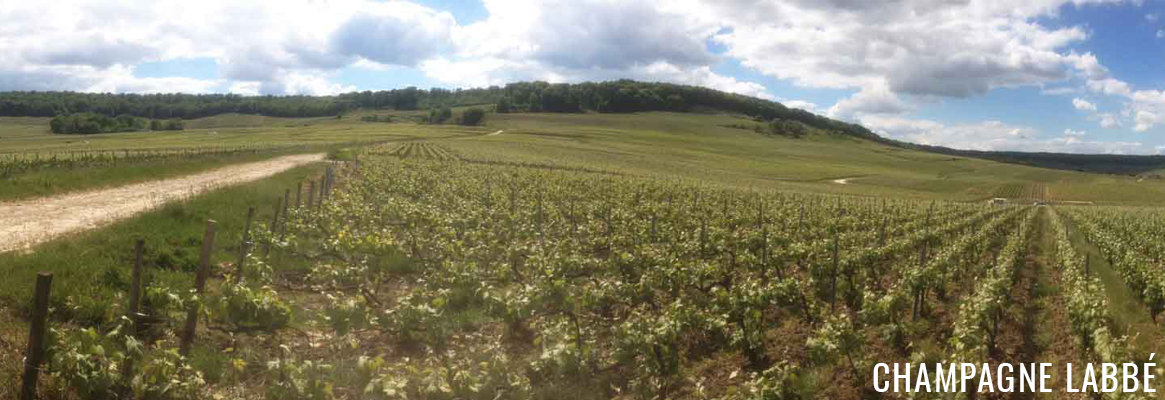 Champagne Labbé & Fils à Chamery dans la Montagne de Reims