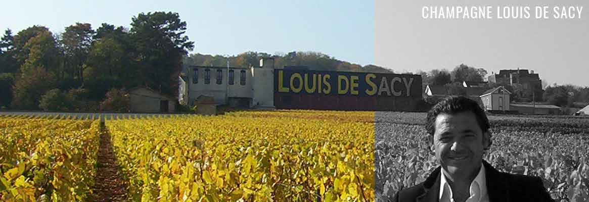 Champagne Louis de Sacy, Grand Cru de la Montagne de Reims