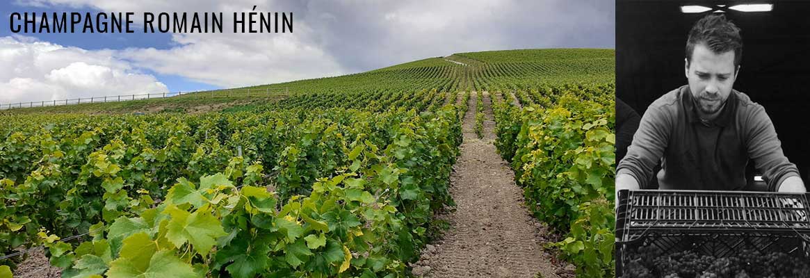 Champagne Romain Hénin en biodynamie en vente chez La Bouteille Dorée