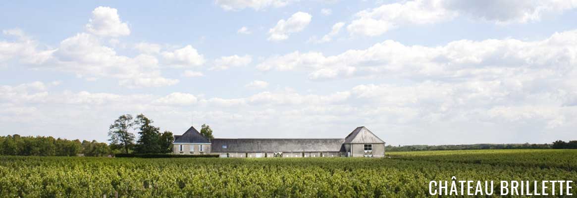 Grands vins de Moulis-en-Médoc du Château Brillette