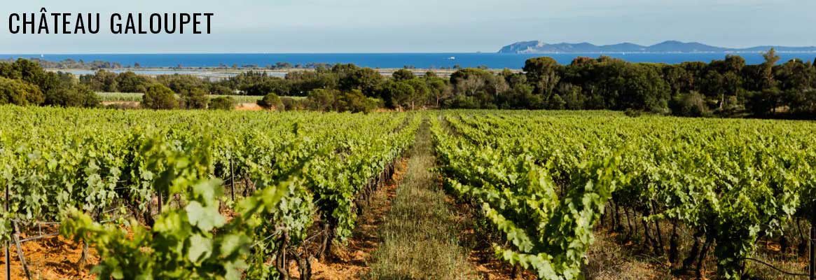 Château Galoupet, vins rosés d'exception en appellation Côtes-de-Provence