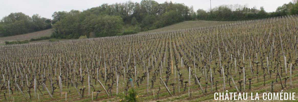 Château La Comédie Castillon Côtes de Bordeaux