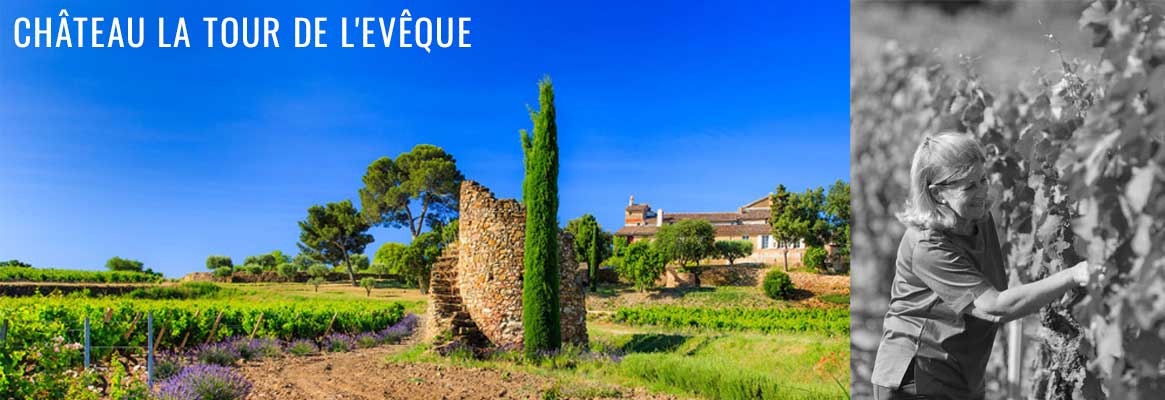 Château Gassier, vins rosés en appellation Côtes-de-Provence Sainte-Victoire