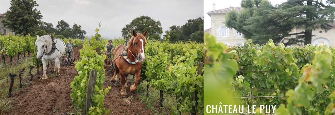 Château Le Puy, grands vins de Bordeaux en agriculture biologique sans sulfites